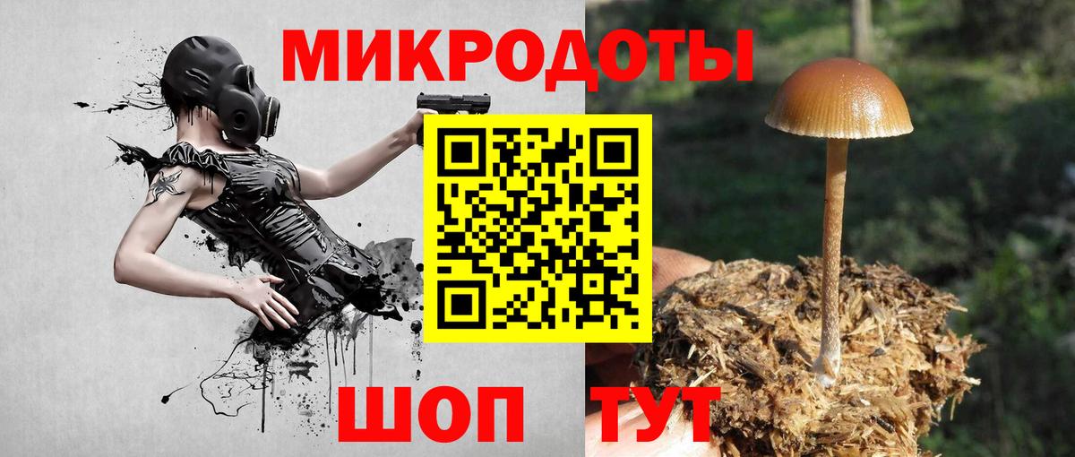 Псилоцибиновые грибы Magic Shrooms Тосно